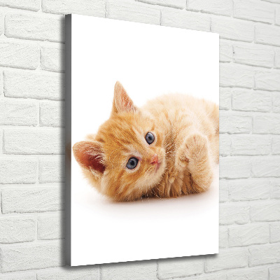 Foto obraz canvas pionowy Mały rudy kot