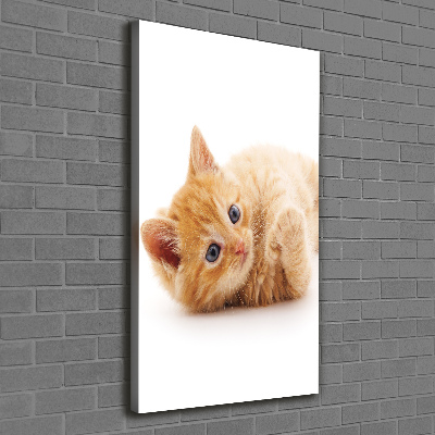 Foto obraz canvas pionowy Mały rudy kot