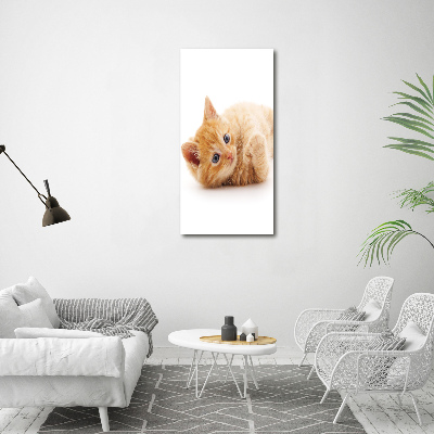 Foto obraz canvas pionowy Mały rudy kot