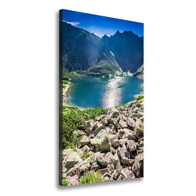 Foto obraz na płótnie pionowy Czarny staw Tatry