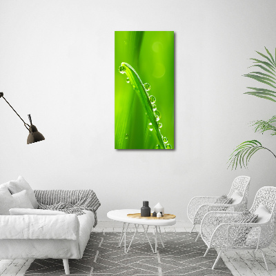 Foto obraz canvas pionowy Źdźbła trawy