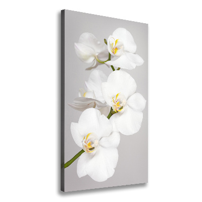 Foto obraz na płótnie pionowy Biała orchidea