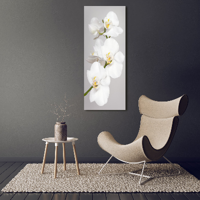 Foto obraz na płótnie pionowy Biała orchidea