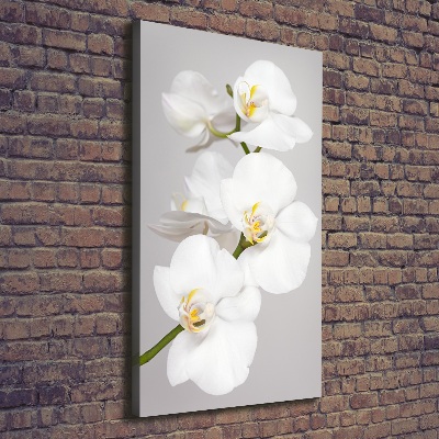 Foto obraz na płótnie pionowy Biała orchidea