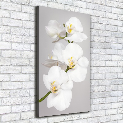 Foto obraz na płótnie pionowy Biała orchidea