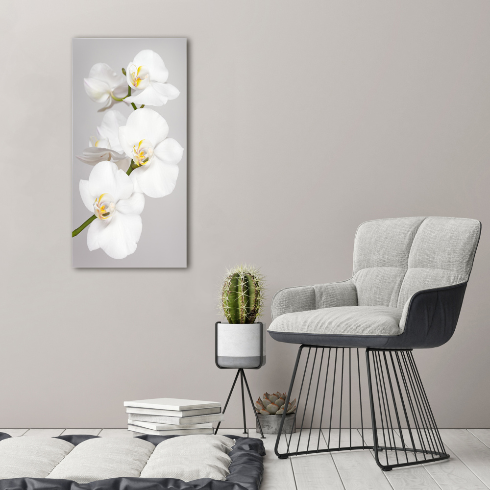 Foto obraz na płótnie pionowy Biała orchidea