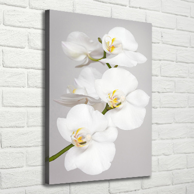 Foto obraz na płótnie pionowy Biała orchidea