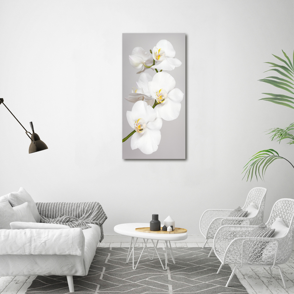 Foto obraz na płótnie pionowy Biała orchidea