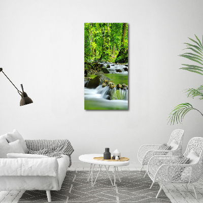 Foto obraz canvas pionowy Potok górski