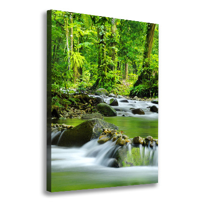 Foto obraz canvas pionowy Potok górski