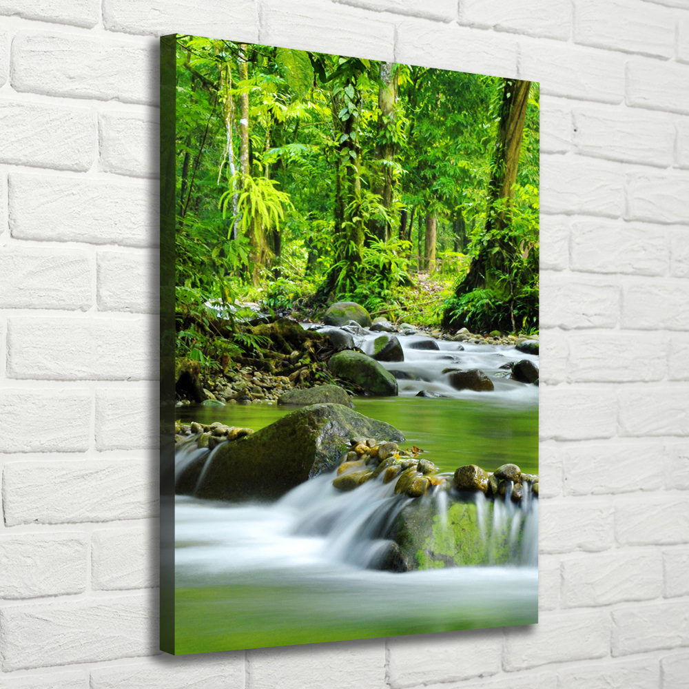 Foto obraz canvas pionowy Potok górski