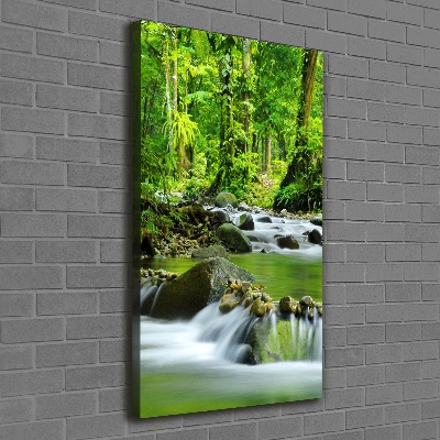 Foto obraz canvas pionowy Potok górski