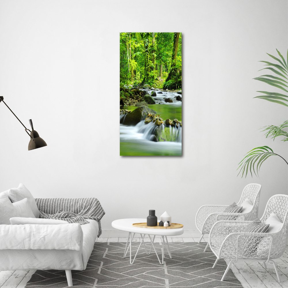 Foto obraz canvas pionowy Potok górski