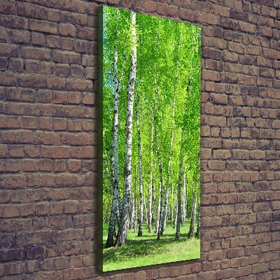 Foto obraz canvas pionowy Las brzozowy