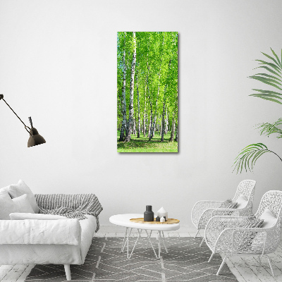 Foto obraz canvas pionowy Las brzozowy