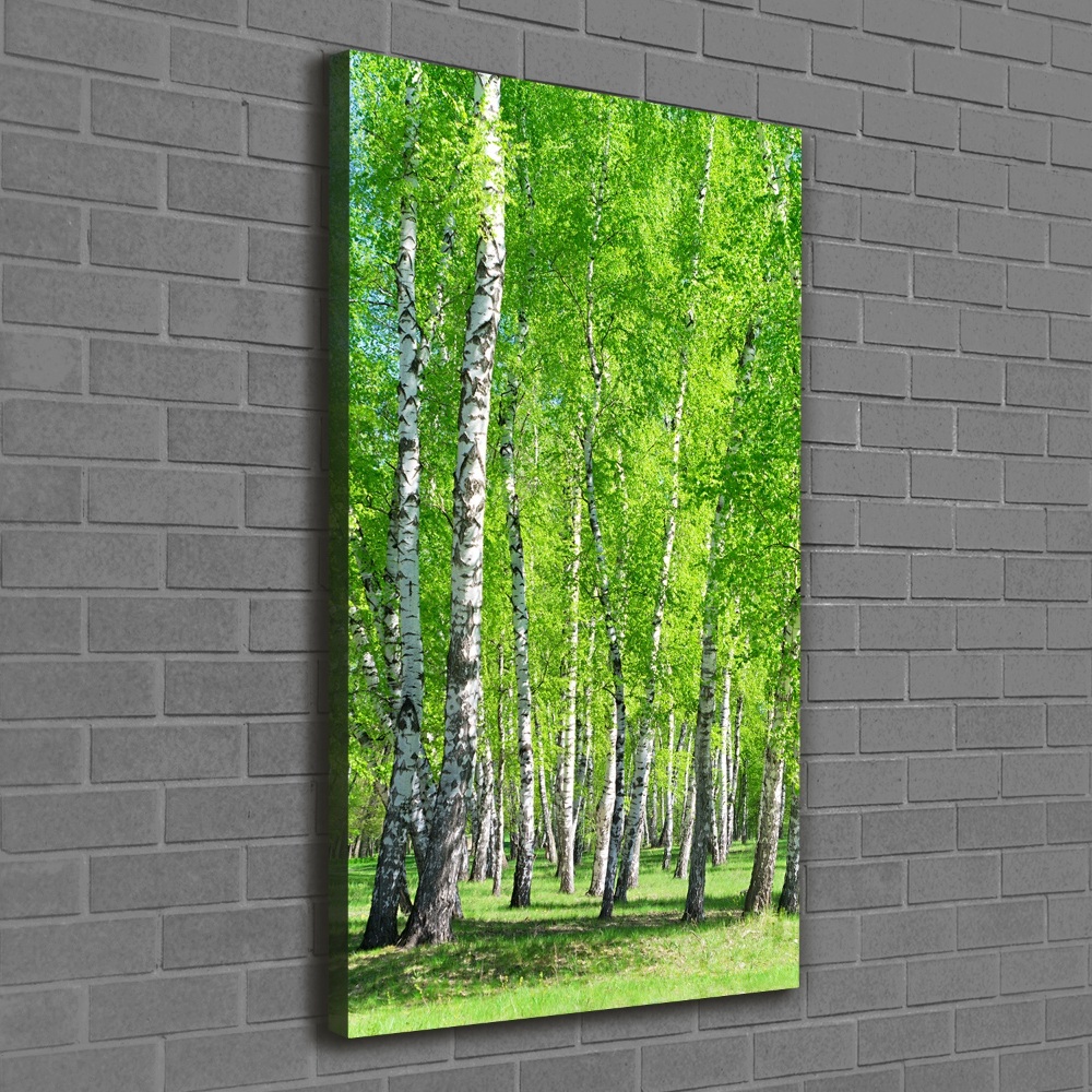 Foto obraz canvas pionowy Las brzozowy