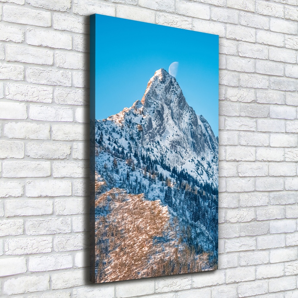 Foto obraz na płótnie pionowy Giewont Tatry