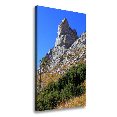 Foto obraz na płótnie pionowy mały Giewont Tatry