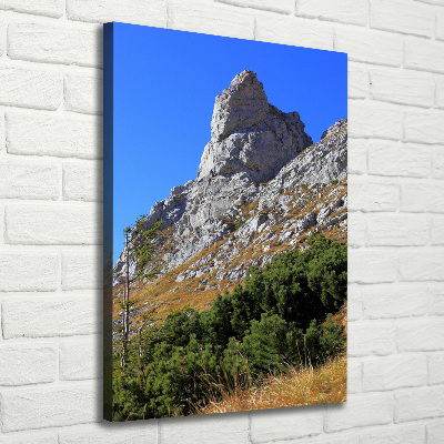 Foto obraz na płótnie pionowy mały Giewont Tatry