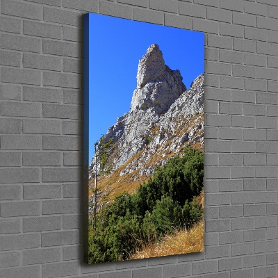 Foto obraz na płótnie pionowy mały Giewont Tatry