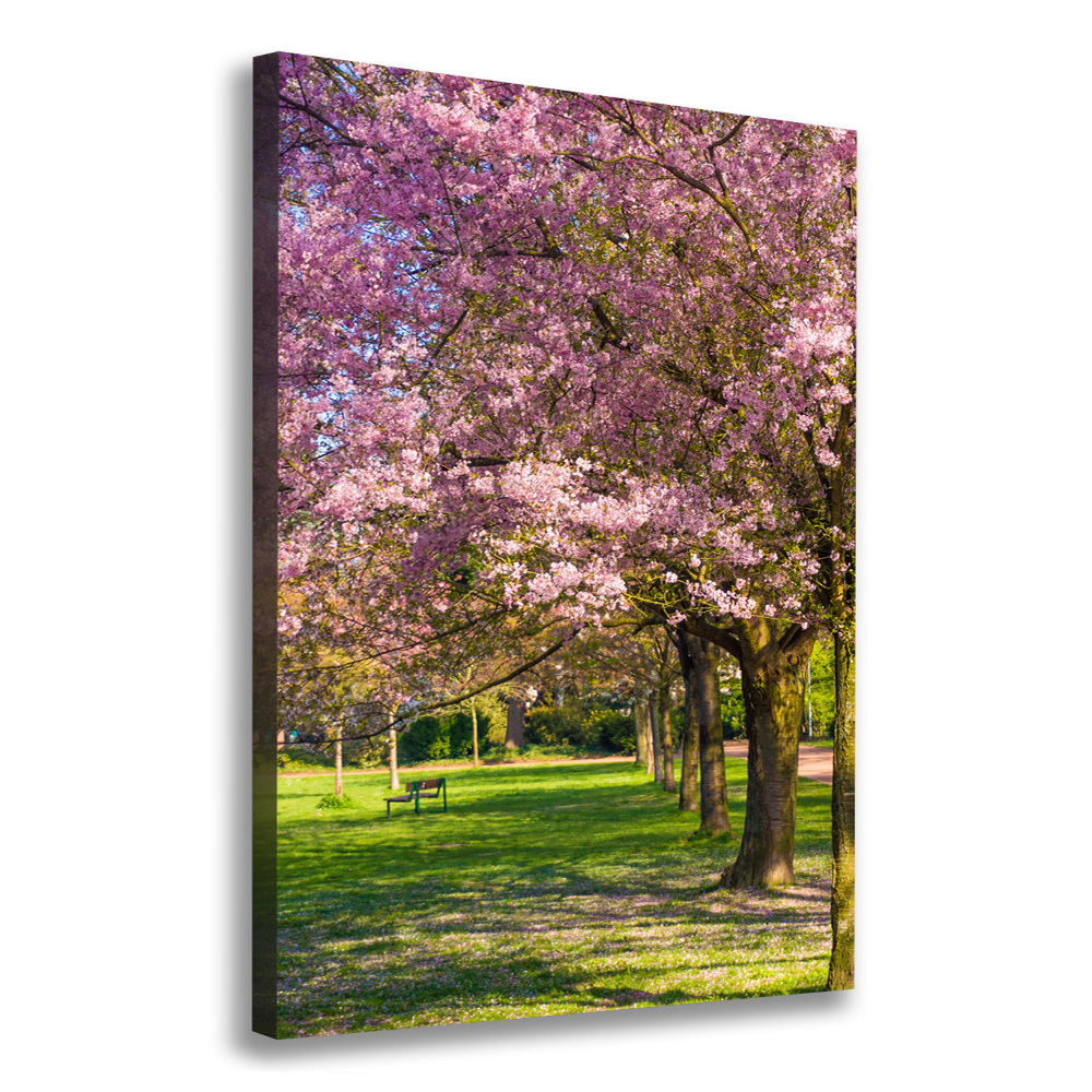 Foto obraz canvas pionowy Drzewa wiśni