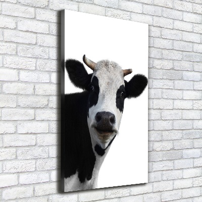 Foto obraz canvas pionowy Łaciata krowa