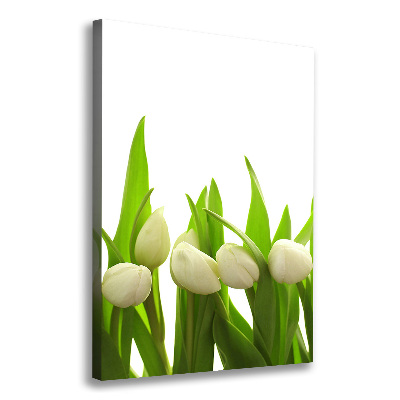 Foto-obraz canvas do salonu Białe tulipany