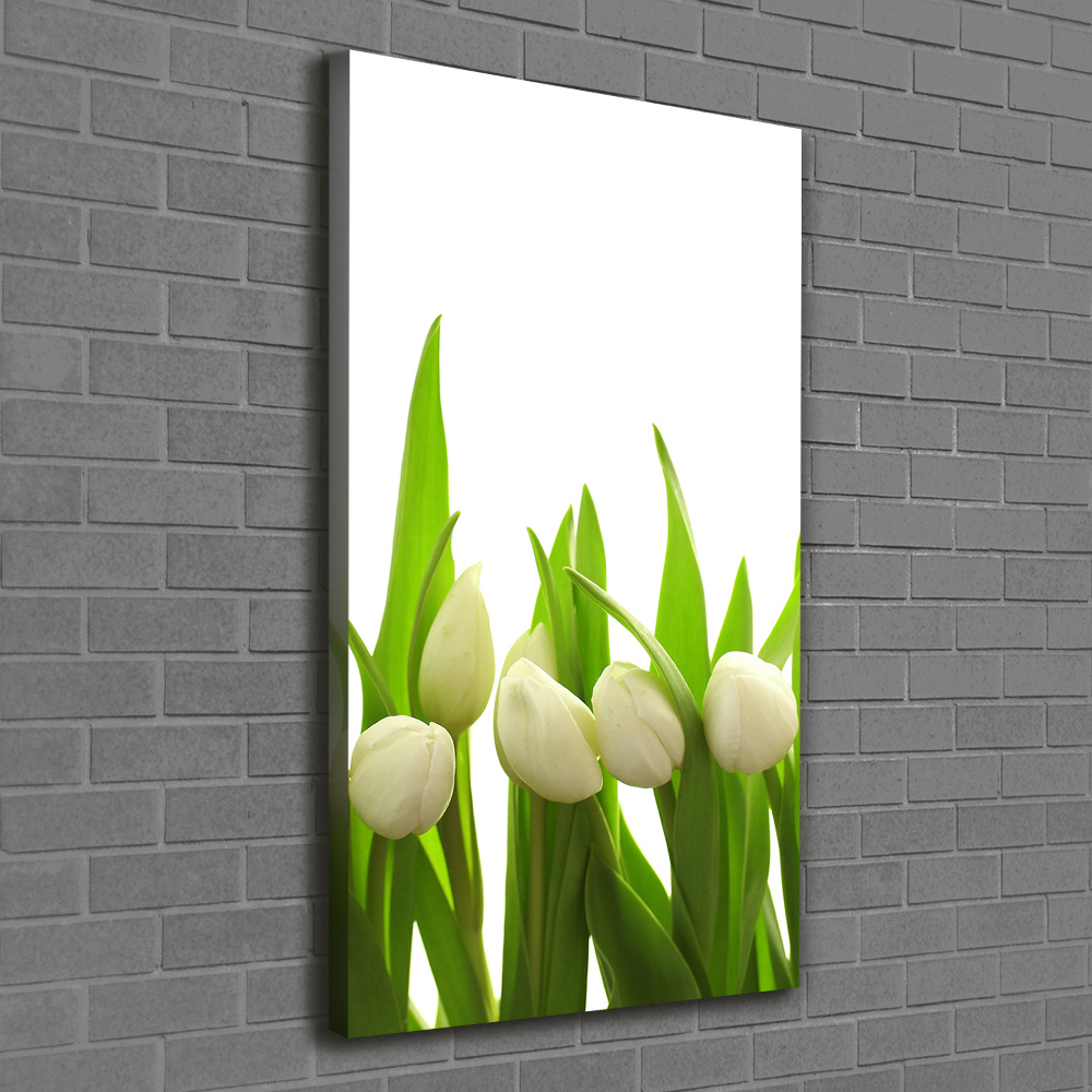 Foto-obraz canvas do salonu Białe tulipany