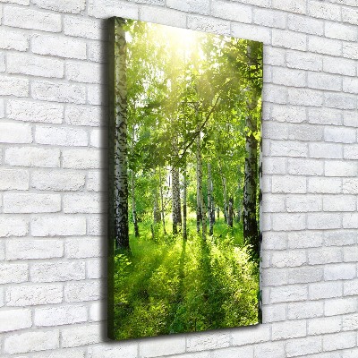 Foto obraz canvas pionowy Las brzozowy