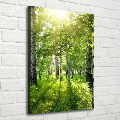 Foto obraz canvas pionowy Las brzozowy