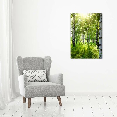 Foto obraz canvas pionowy Las brzozowy