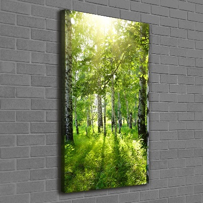 Foto obraz canvas pionowy Las brzozowy