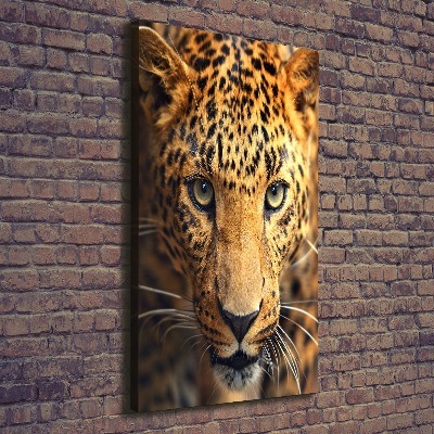 Nowoczesny obraz canvas na ramie pionowy Lampart