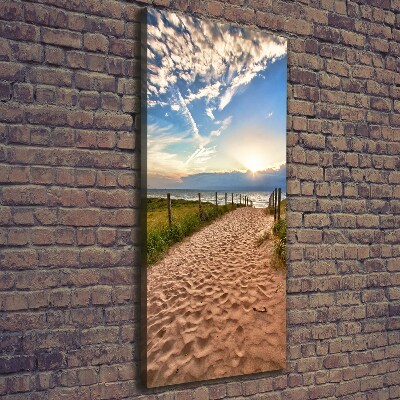 Foto obraz na płótnie pionowy Ścieżka na plażę