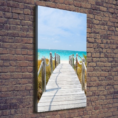 Foto obraz na płótnie pionowy Ścieżka na plażę