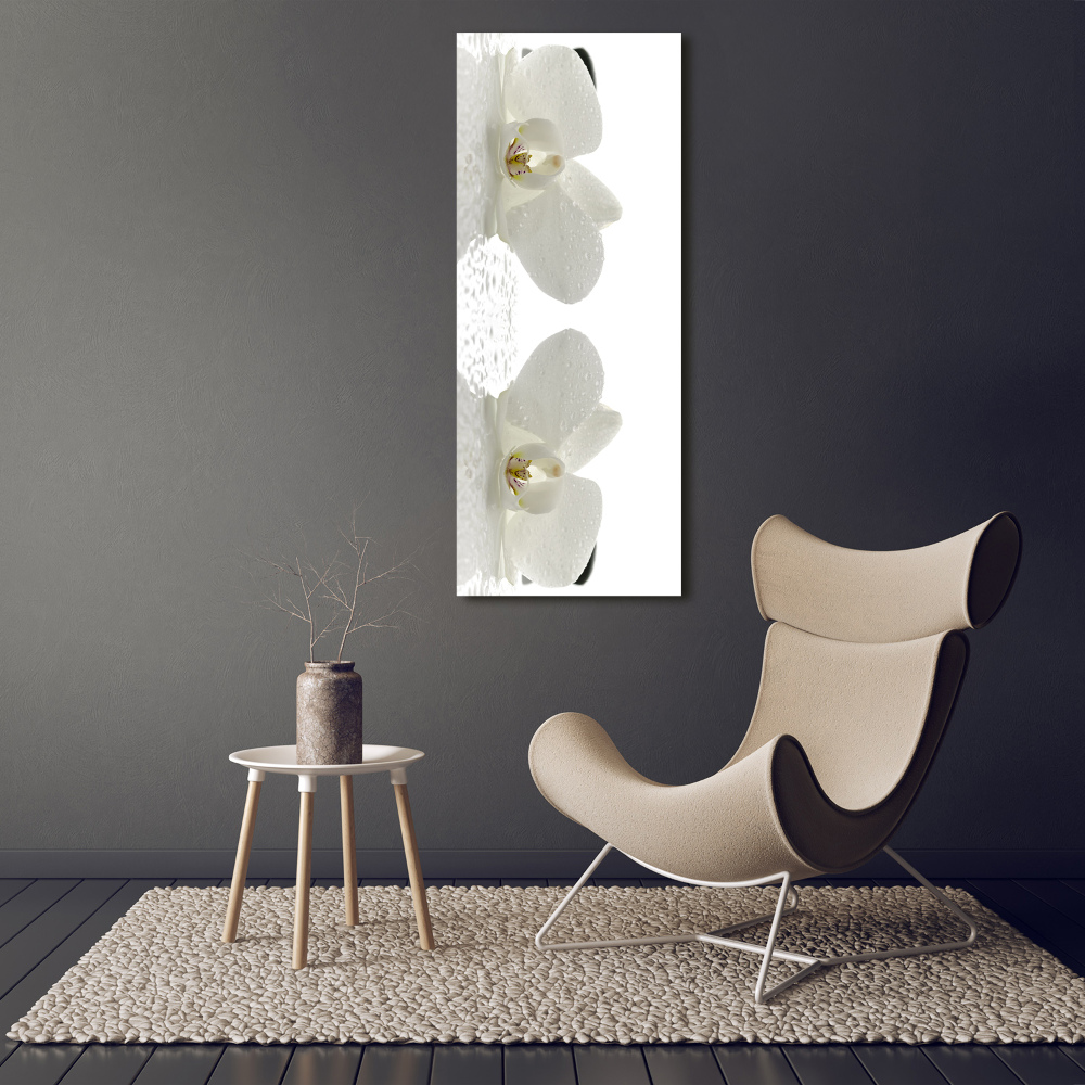 Foto obraz na płótnie pionowy Orchidea i kamienie
