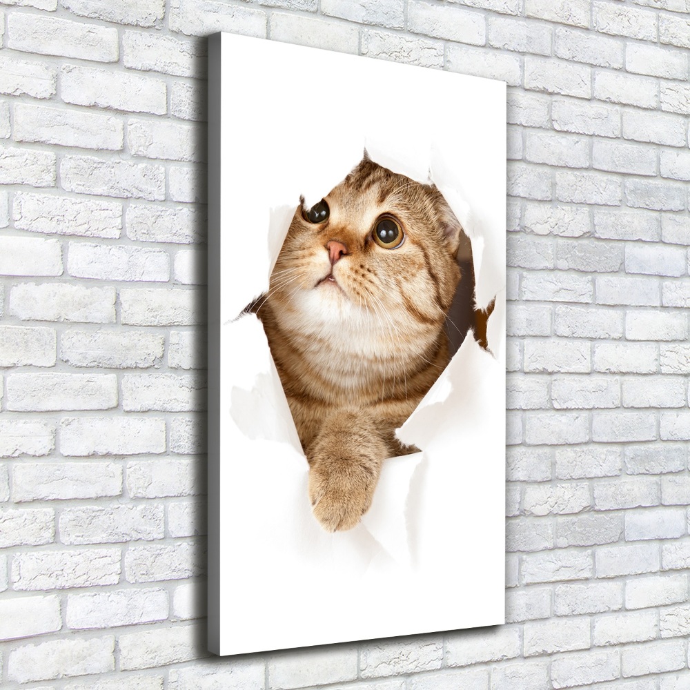 Foto obraz canvas pionowy Kot