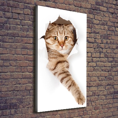 Foto obraz canvas pionowy Kot