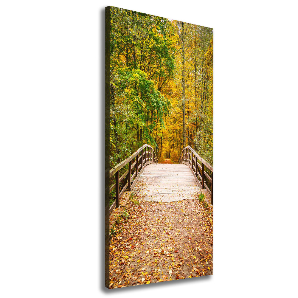 Foto obraz canvas pionowy Las jesienią