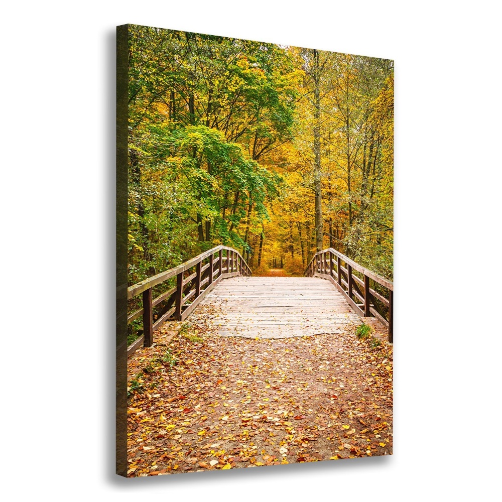 Foto obraz canvas pionowy Las jesienią