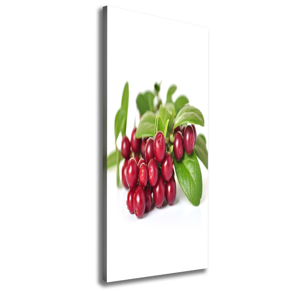 Nowoczesny obraz canvas na ramie pionowy Borówka