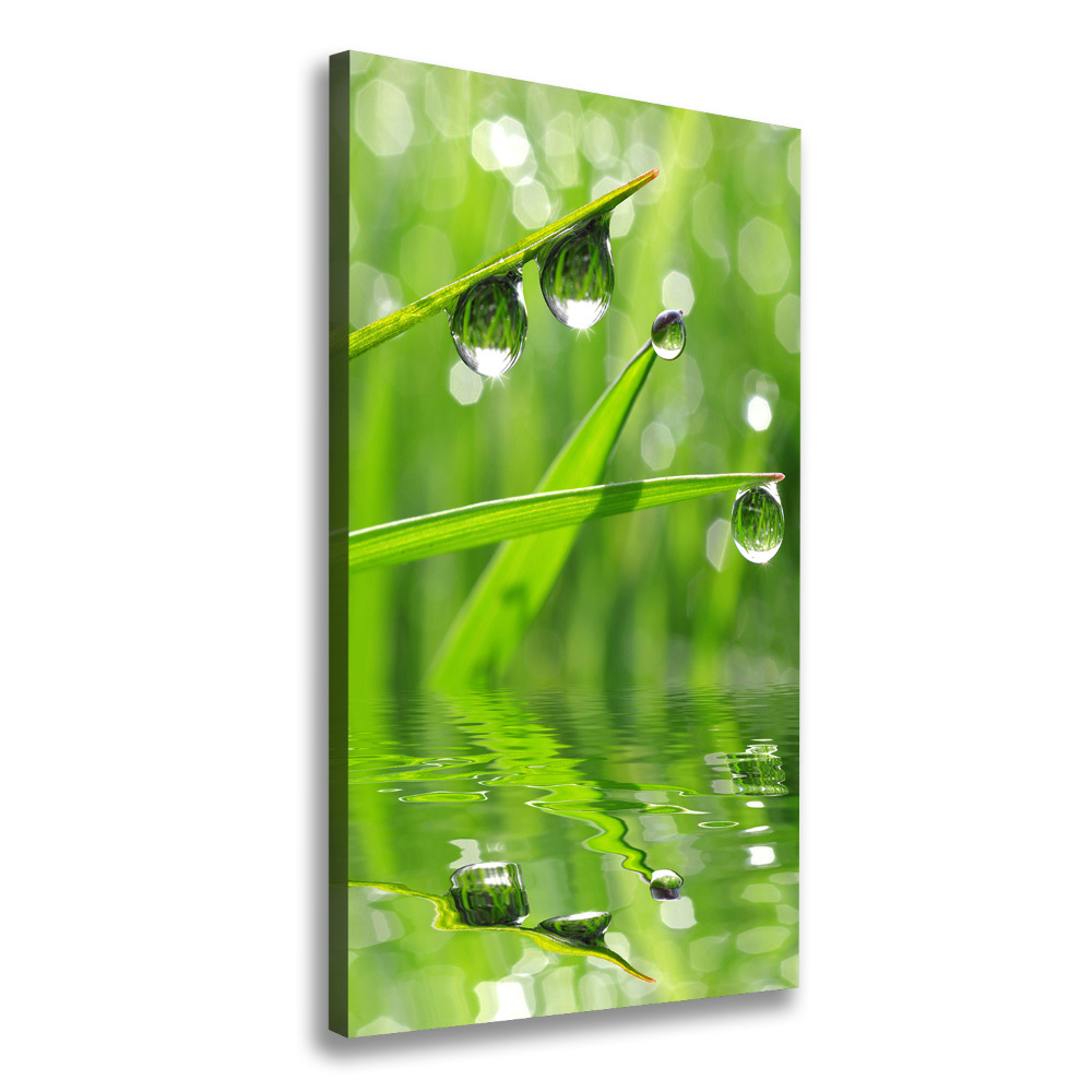 Foto obraz canvas pionowy Źdźbła trawy