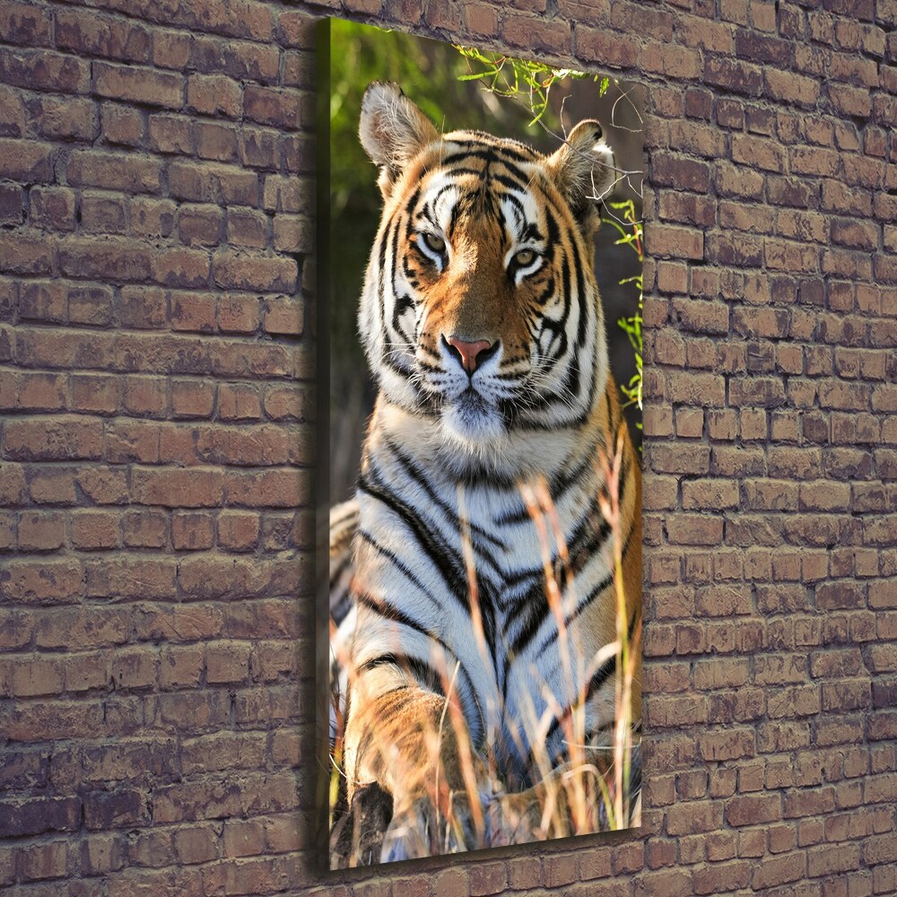 Nowoczesny fotoobraz canvas na ramie pionowy Tygrys