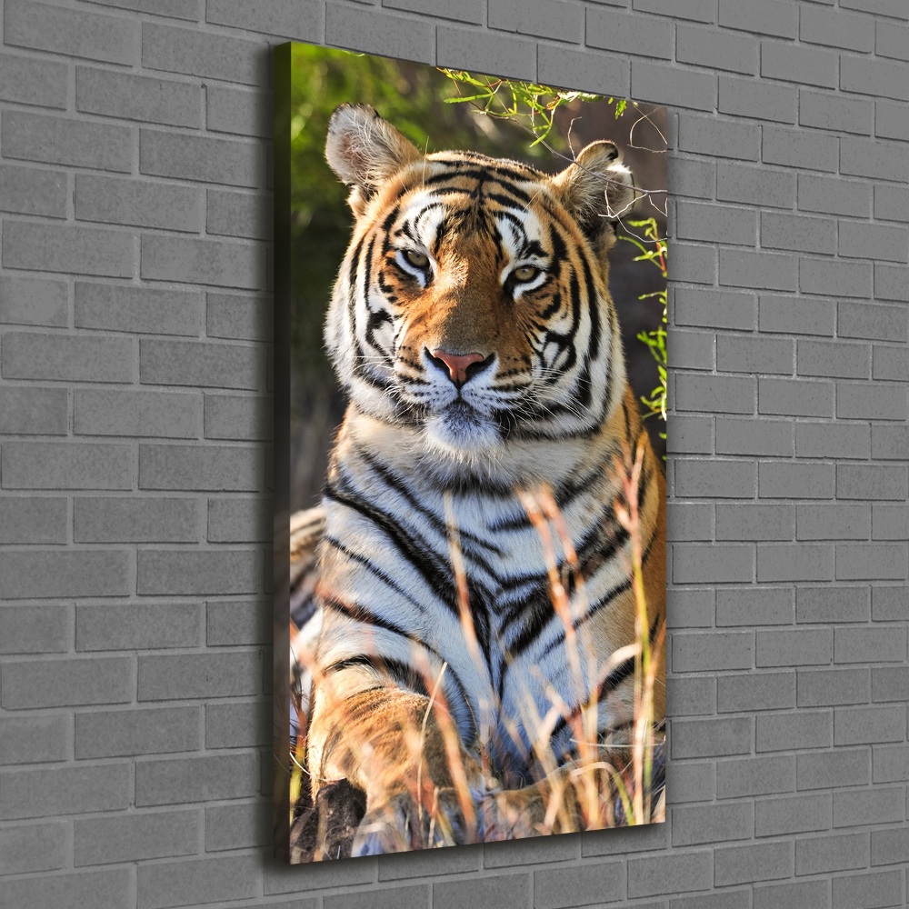 Nowoczesny fotoobraz canvas na ramie pionowy Tygrys