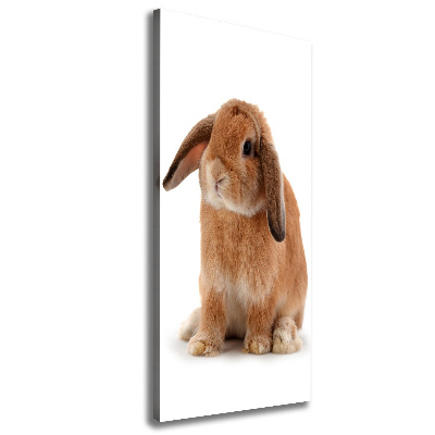 Nowoczesny fotoobraz canvas na ramie pionowy Królik