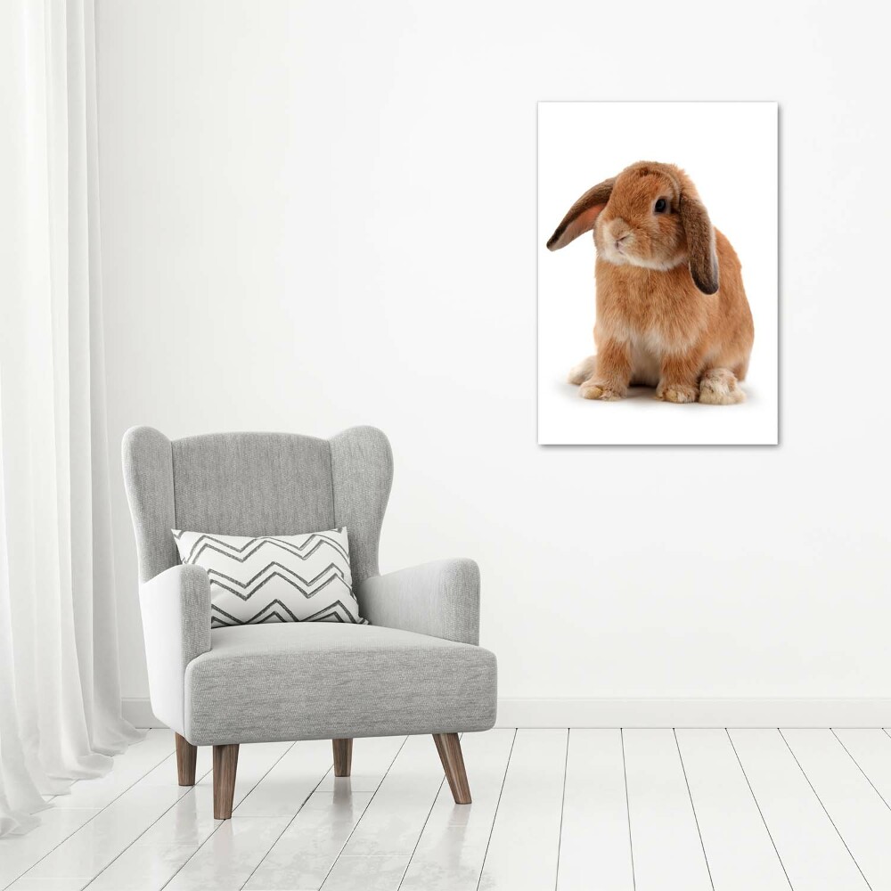 Nowoczesny fotoobraz canvas na ramie pionowy Królik