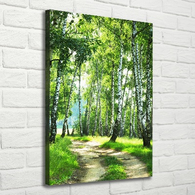 Foto obraz canvas pionowy Las brzozowy