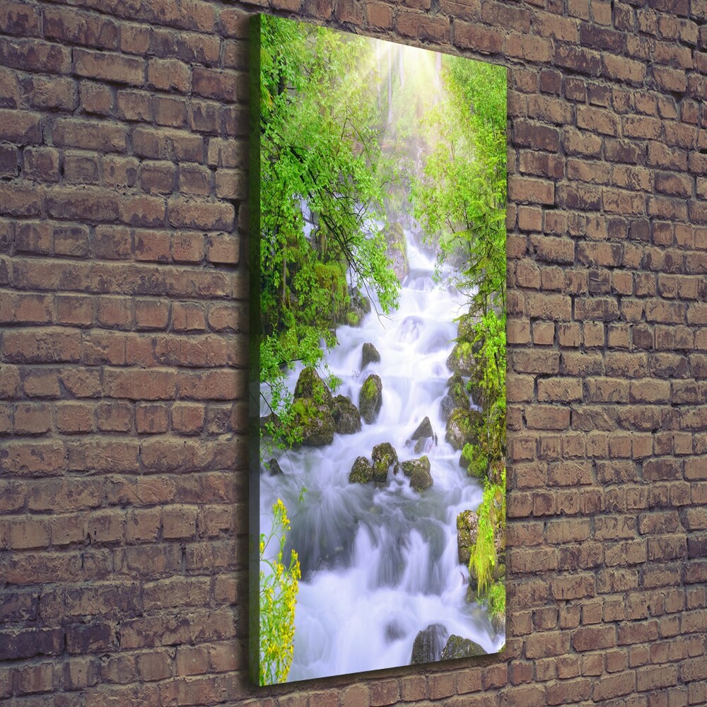 Foto obraz canvas pionowy Górski potok