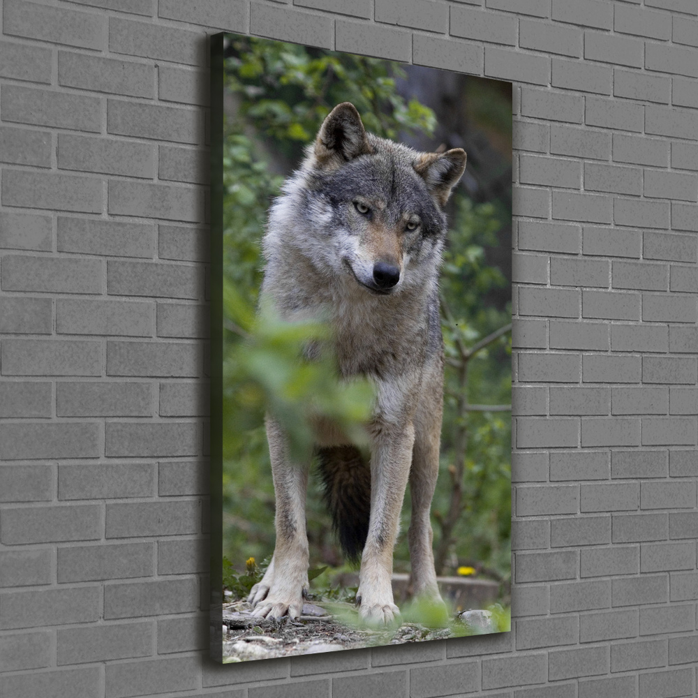 Foto obraz canvas pionowy Wilk w lesie