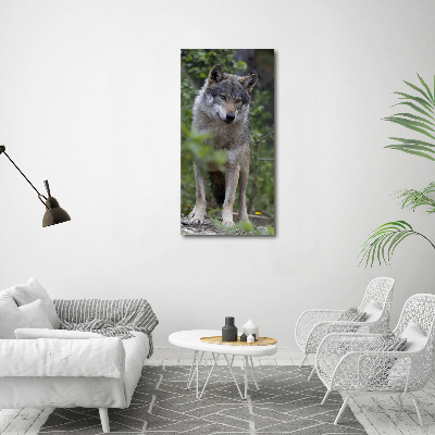 Foto obraz canvas pionowy Wilk w lesie